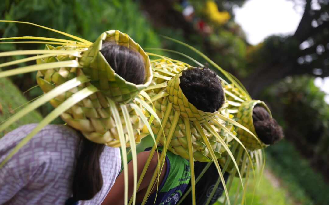 Moving with the times: The Cook Islands is embracing technology for climate action